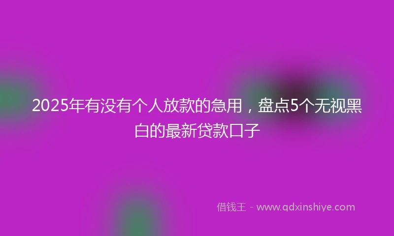 2025年有没有个人放款的急用，盘点5个无视黑白的最新贷款口子