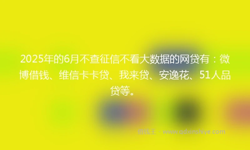 2025年的6月不查征信不看大数据的网贷有：微博借钱、维信卡卡贷、我来贷、安逸花、51人品贷等。