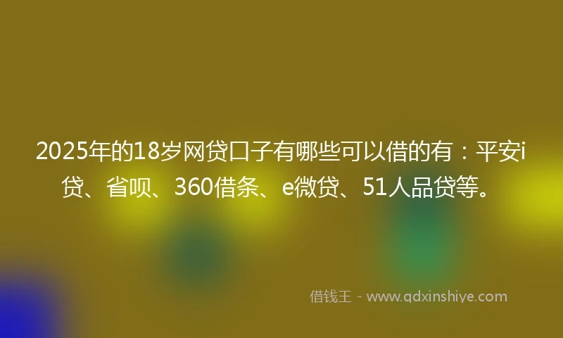 2025年的18岁网贷口子有哪些可以借的有：平安i贷、省呗、360借条、e微贷、51人品贷等。