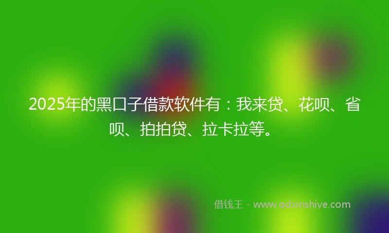 2025年的黑口子借款软件有：我来贷、花呗、省呗、拍拍贷、拉卡拉等。
