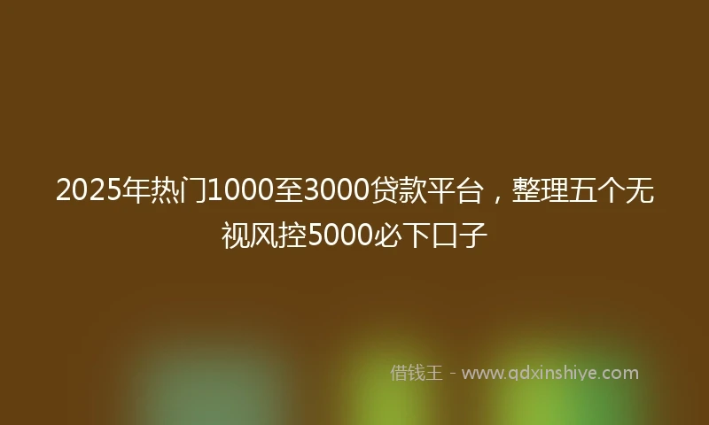 2025年热门1000至3000贷款平台，整理五个无视风控5000必下口子