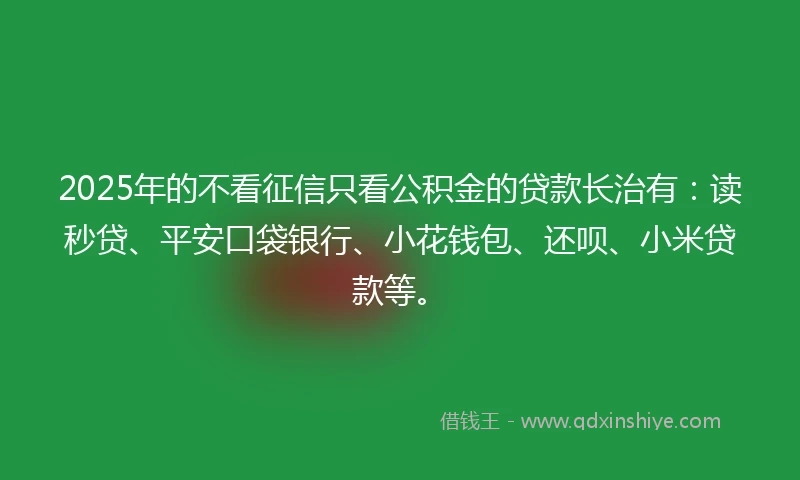 2025年的不看征信只看公积金的贷款长治有:读秒贷、平安口袋银行、小花钱包、还呗、小米贷款等。
