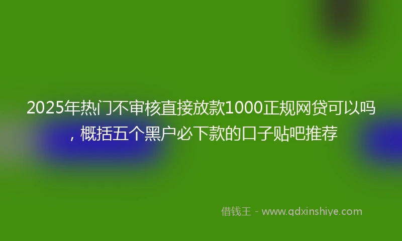 2025年热门不审核直接放款1000正规网贷可以吗，概括五个黑户必下款的口子贴吧推荐