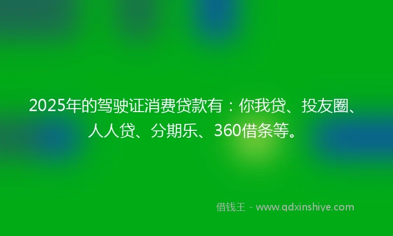 2025年的驾驶证消费贷款有：你我贷、投友圈、人人贷、分期乐、360借条等。