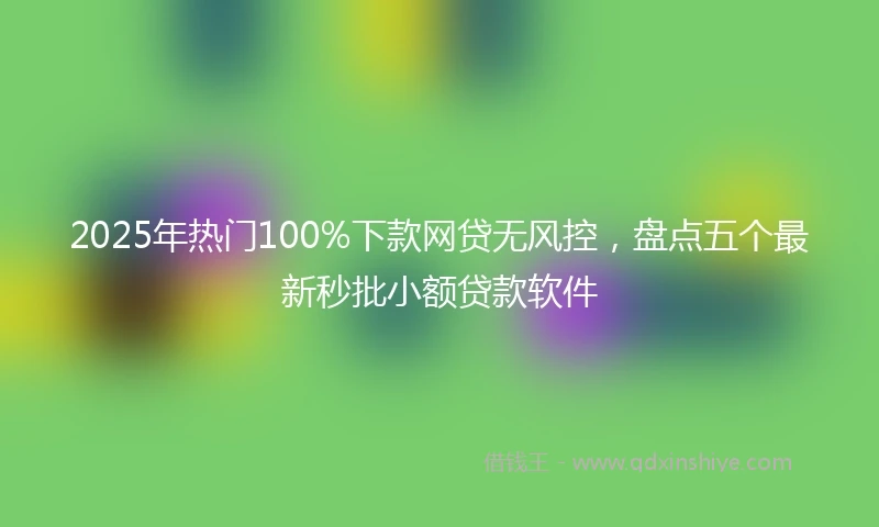 2025年热门100%下款网贷无风控，盘点五个最新秒批小额贷款软件