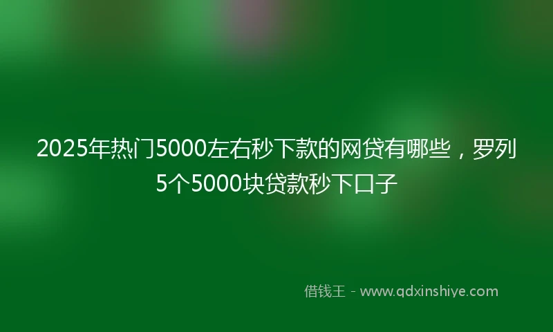 2025年热门5000左右秒下款的网贷有哪些，罗列5个5000块贷款秒下口子