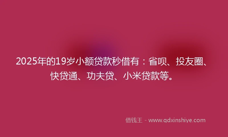 2025年的19岁小额贷款秒借有：省呗、投友圈、快贷通、功夫贷、小米贷款等。