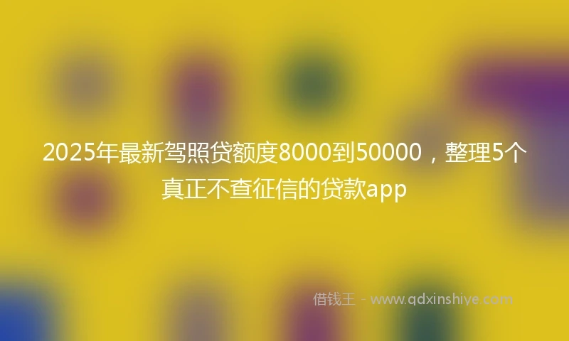 2025年最新驾照贷额度8000到50000，整理5个真正不查征信的贷款app