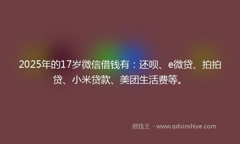 2025年的17岁微信借钱有：还呗、e微贷、拍拍贷、小米贷款、美团生活费等。