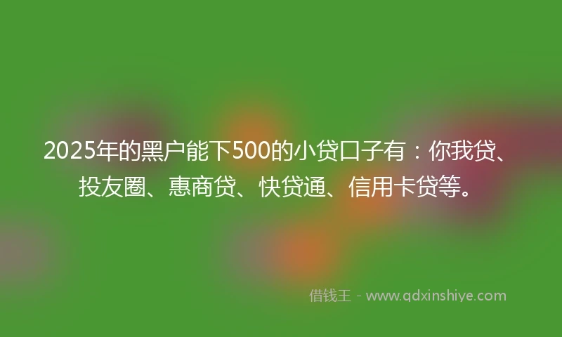 2025年的黑户能下500的小贷口子有：你我贷、投友圈、惠商贷、快贷通、信用卡贷等。