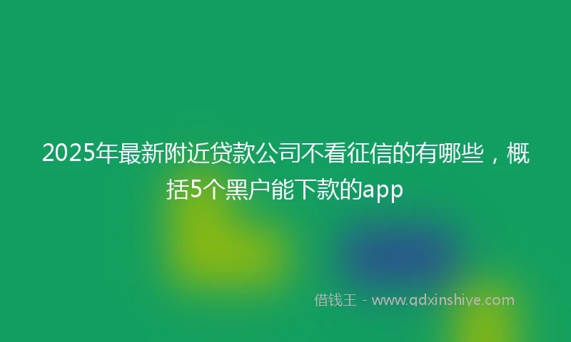2025年最新附近贷款公司不看征信的有哪些，概括5个黑户能下款的app