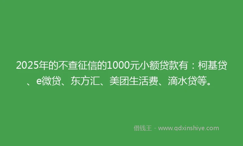2025年的不查征信的1000元小额贷款有：柯基贷、e微贷、东方汇、美团生活费、滴水贷等。