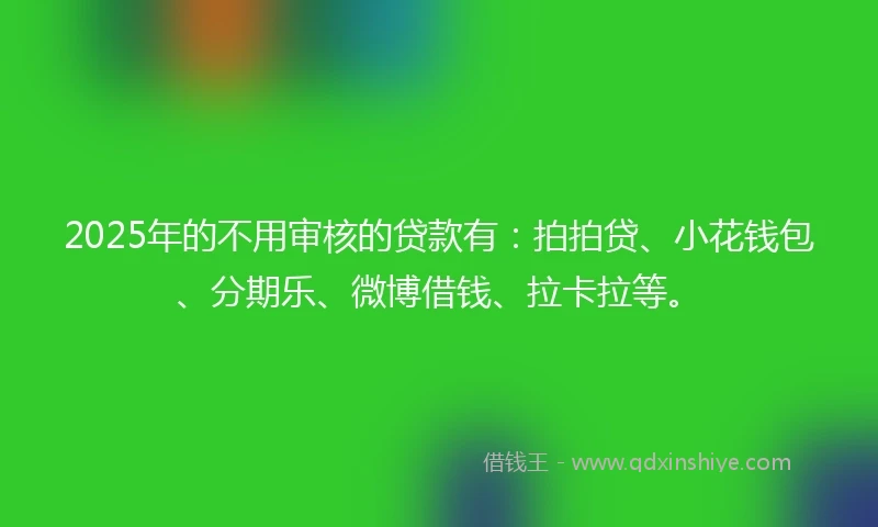 2025年的不用审核的贷款有：拍拍贷、小花钱包、分期乐、微博借钱、拉卡拉等。
