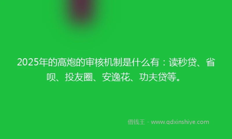 2025年的高炮的审核机制是什么有：读秒贷、省呗、投友圈、安逸花、功夫贷等。