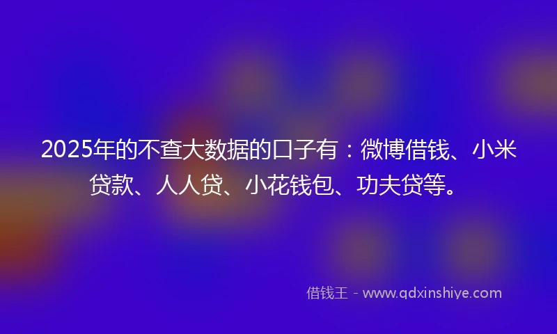 2025年的不查大数据的口子有：微博借钱、小米贷款、人人贷、小花钱包、功夫贷等。