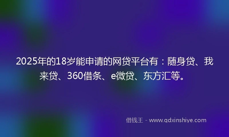 2025年的18岁能申请的网贷平台有：随身贷、我来贷、360借条、e微贷、东方汇等。