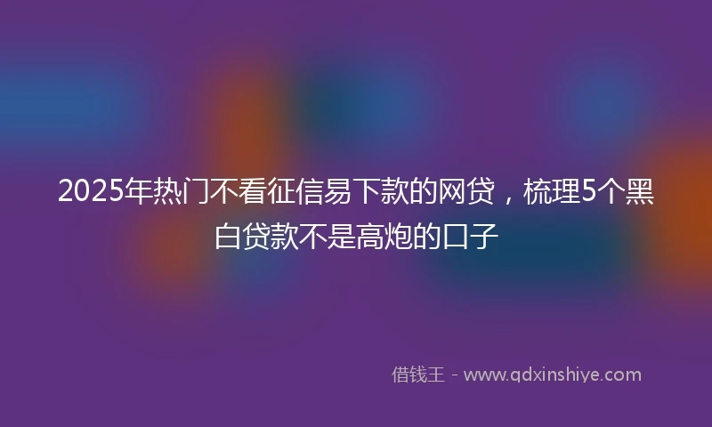 2025年热门不看征信易下款的网贷，梳理5个黑白贷款不是高炮的口子