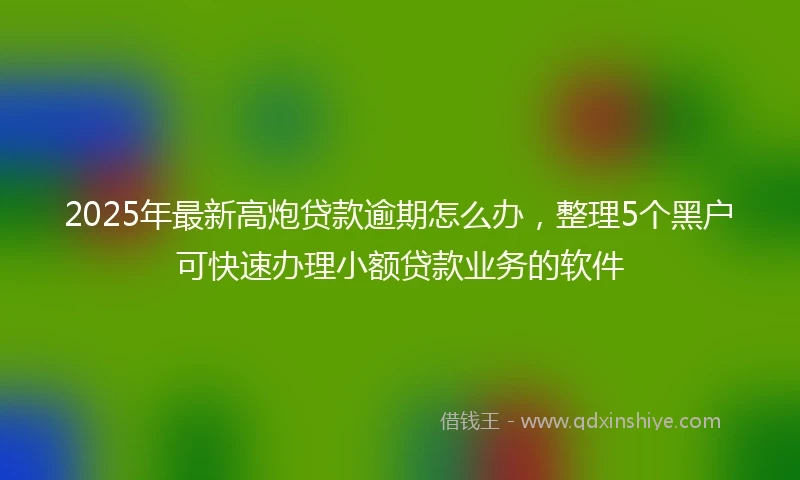 2025年最新高炮贷款逾期怎么办，整理5个黑户可快速办理小额贷款业务的软件