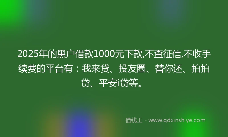 2025年的黑户借款1000元下款,不查征信,不收手续费的平台有：我来贷、投友圈、替你还、拍拍贷、平安i贷等。
