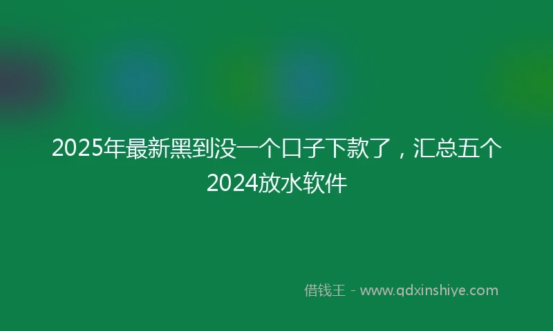 2025年最新黑到没一个口子下款了，汇总五个2024放水软件