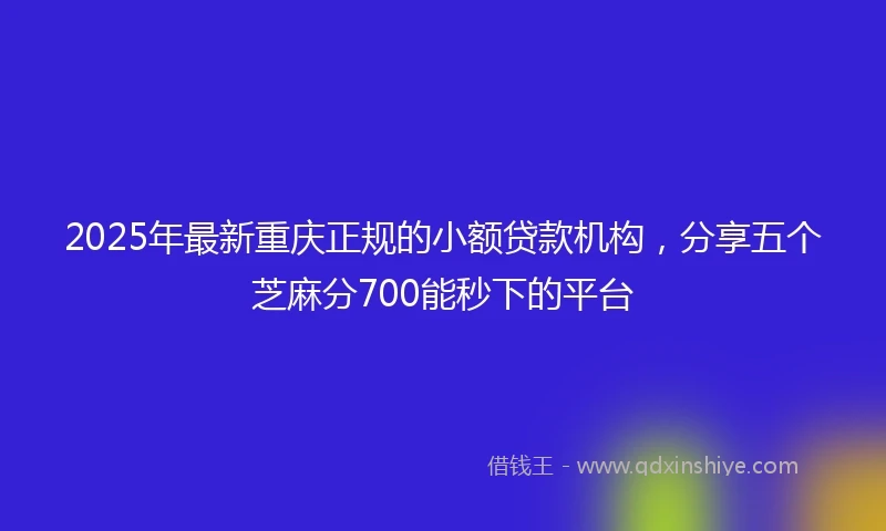2025年最新重庆正规的小额贷款机构，分享五个芝麻分700能秒下的平台