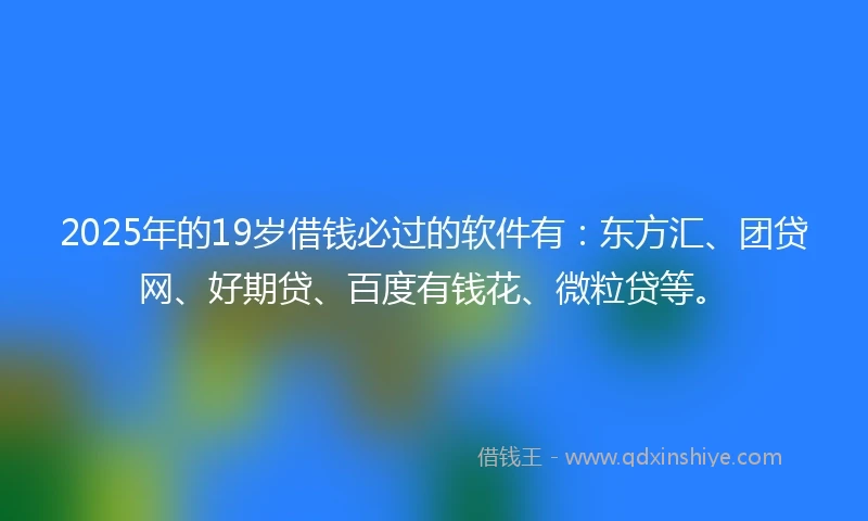 2025年的19岁借钱必过的软件有:东方汇、团贷网、好期贷、百度有钱花、微粒贷等。
