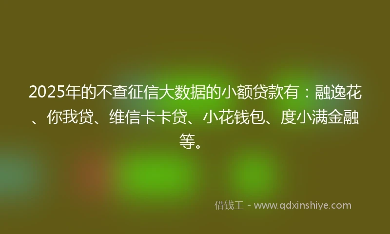 2025年的不查征信大数据的小额贷款有：融逸花、你我贷、维信卡卡贷、小花钱包、度小满金融等。