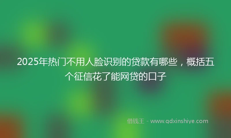 2025年热门不用人脸识别的贷款有哪些，概括五个征信花了能网贷的口子