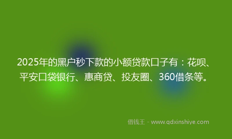 2025年的黑户秒下款的小额贷款口子有：花呗、平安口袋银行、惠商贷、投友圈、360借条等。