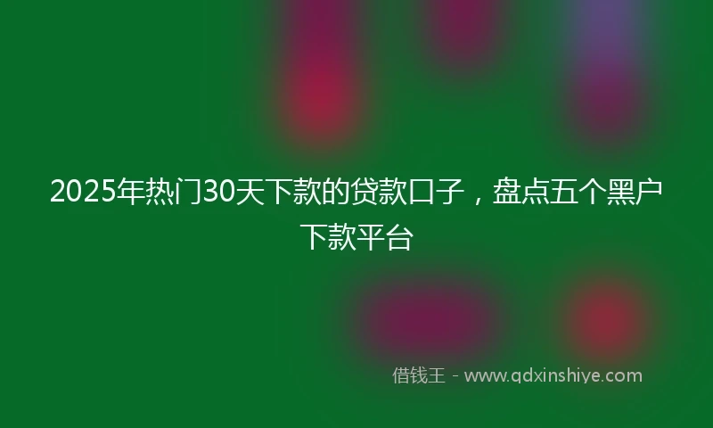 2025年热门30天下款的贷款口子，盘点五个黑户下款平台