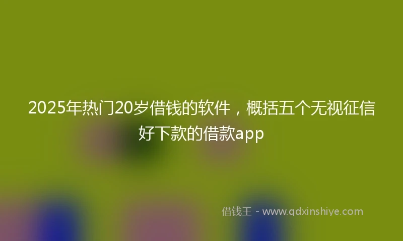 2025年热门20岁借钱的软件,概括五个无视征信好下款的借款app