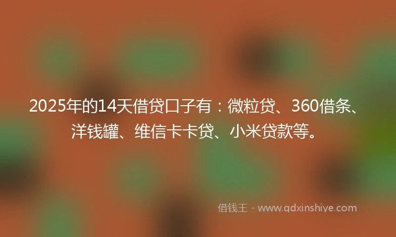2025年的14天借贷口子有：微粒贷、360借条、洋钱罐、维信卡卡贷、小米贷款等。