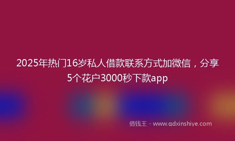 2025年热门16岁私人借款联系方式加微信，分享5个花户3000秒下款app