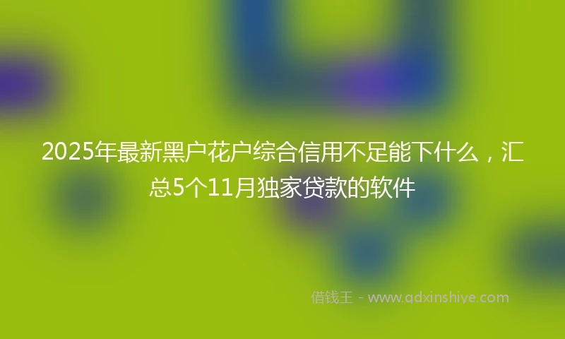 2025年最新黑户花户综合信用不足能下什么，汇总5个11月独家贷款的软件