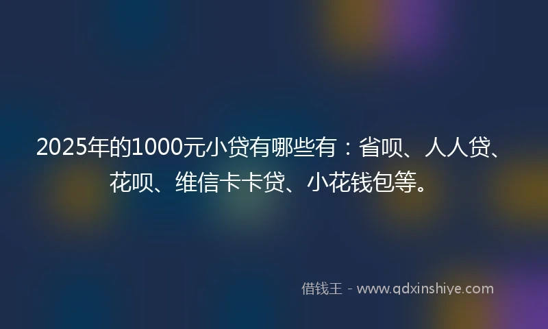 2025年的1000元小贷有哪些有：省呗、人人贷、花呗、维信卡卡贷、小花钱包等。