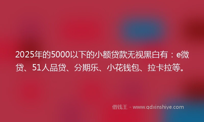 2025年的5000以下的小额贷款无视黑白有：e微贷、51人品贷、分期乐、小花钱包、拉卡拉等。