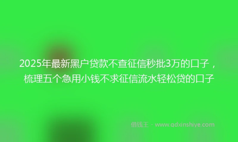 2025年最新黑户贷款不查征信秒批3万的口子，梳理五个急用小钱不求征信流水轻松贷的口子