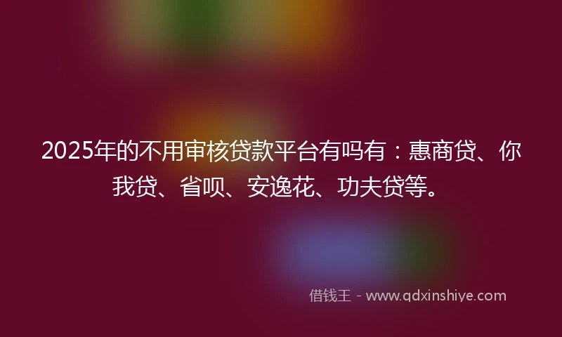2025年的不用审核贷款平台有吗有：惠商贷、你我贷、省呗、安逸花、功夫贷等。