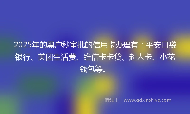 2025年的黑户秒审批的信用卡办理有：平安口袋银行、美团生活费、维信卡卡贷、超人卡、小花钱包等。