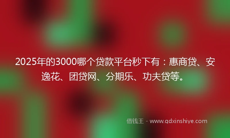 2025年的3000哪个贷款平台秒下有：惠商贷、安逸花、团贷网、分期乐、功夫贷等。