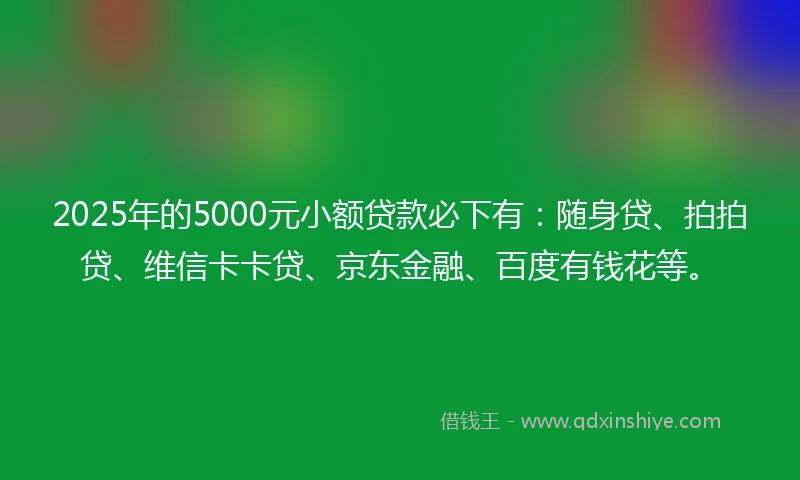 2025年的5000元小额贷款必下有：随身贷、拍拍贷、维信卡卡贷、京东金融、百度有钱花等。