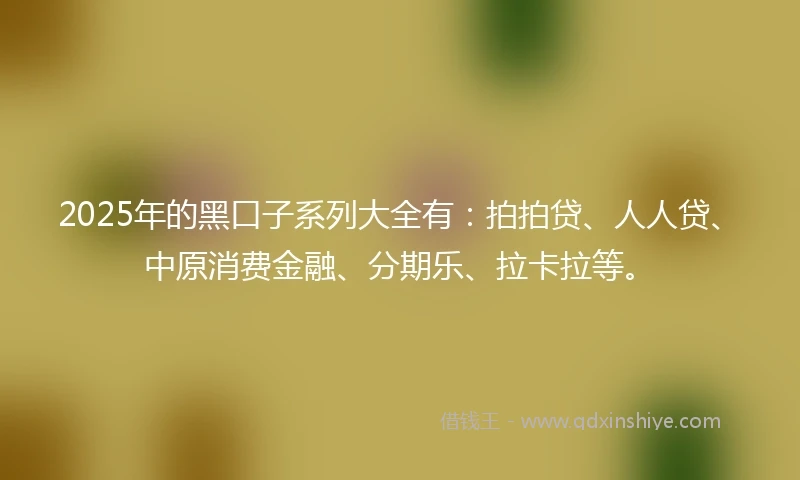2025年的黑口子系列大全有：拍拍贷、人人贷、中原消费金融、分期乐、拉卡拉等。