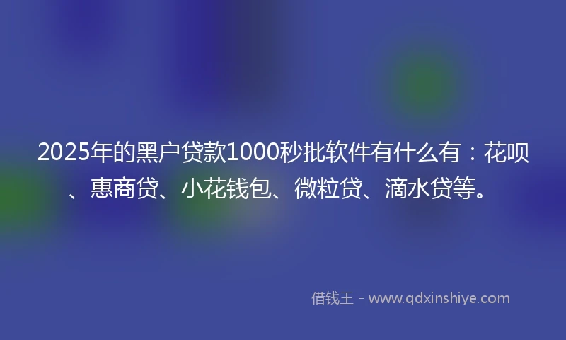 2025年的黑户贷款1000秒批软件有什么有：花呗、惠商贷、小花钱包、微粒贷、滴水贷等。
