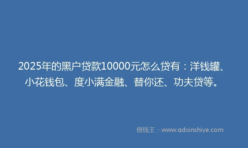 2025年的黑户贷款10000元怎么贷有：洋钱罐、小花钱包、度小满金融、替你还、功夫贷等。