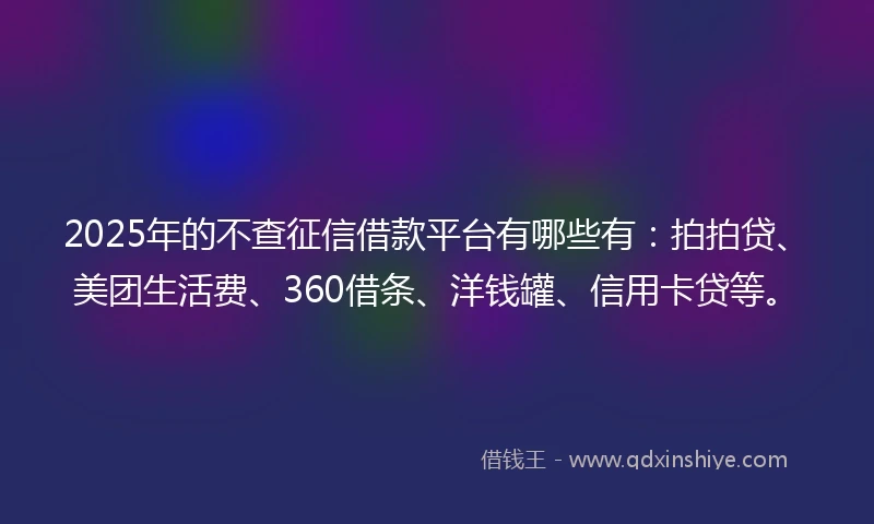 2025年的不查征信借款平台有哪些有：拍拍贷、美团生活费、360借条、洋钱罐、信用卡贷等。