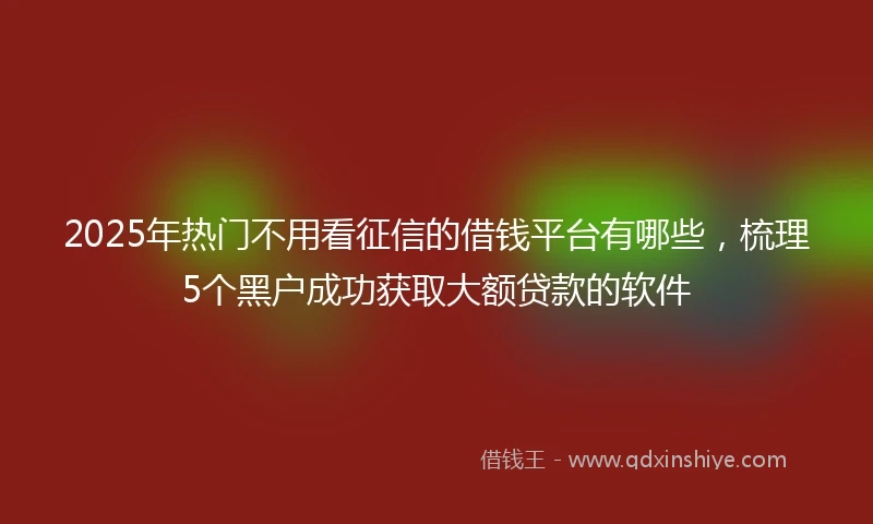 2025年热门不用看征信的借钱平台有哪些，梳理5个黑户成功获取大额贷款的软件