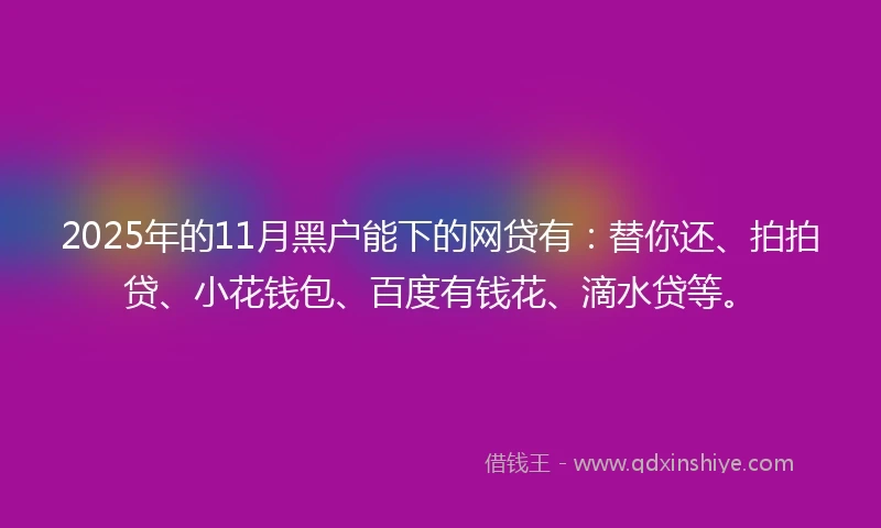 2025年的11月黑户能下的网贷有：替你还、拍拍贷、小花钱包、百度有钱花、滴水贷等。