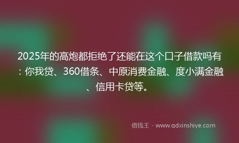 2025年的高炮都拒绝了还能在这个口子借款吗有：你我贷、360借条、中原消费金融、度小满金融、信用卡贷等。