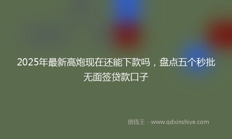 2025年最新高炮现在还能下款吗，盘点五个秒批无面签贷款口子