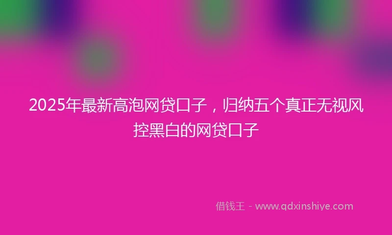 2025年最新高泡网贷口子，归纳五个真正无视风控黑白的网贷口子